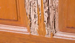 Termite Damaged Wood Repair